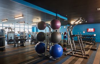 Fitness/Wellness Center with Free Weights